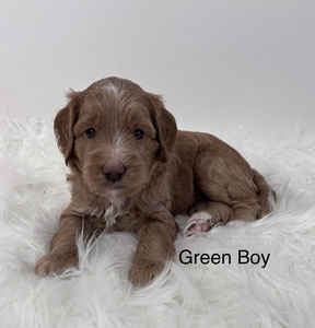 Green boy