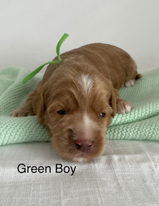 Green boy
